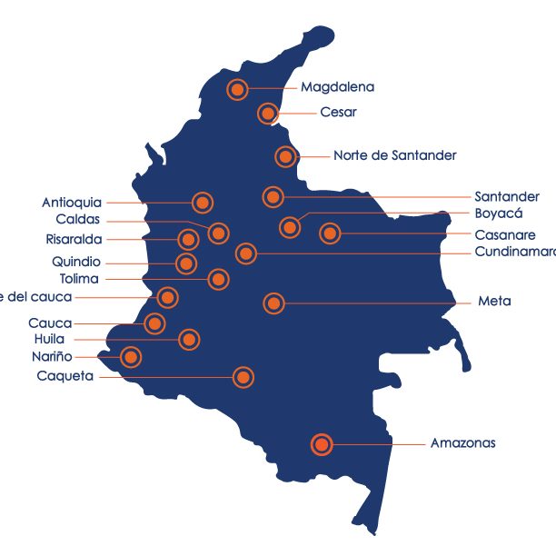 Distribuidores desechables mayoristas colombia